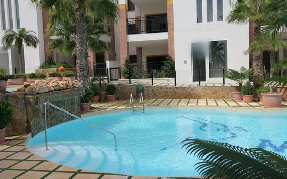 2 bedroom Apartment in Guardamar del Segura - NSP160706 - Photo - Small - 18